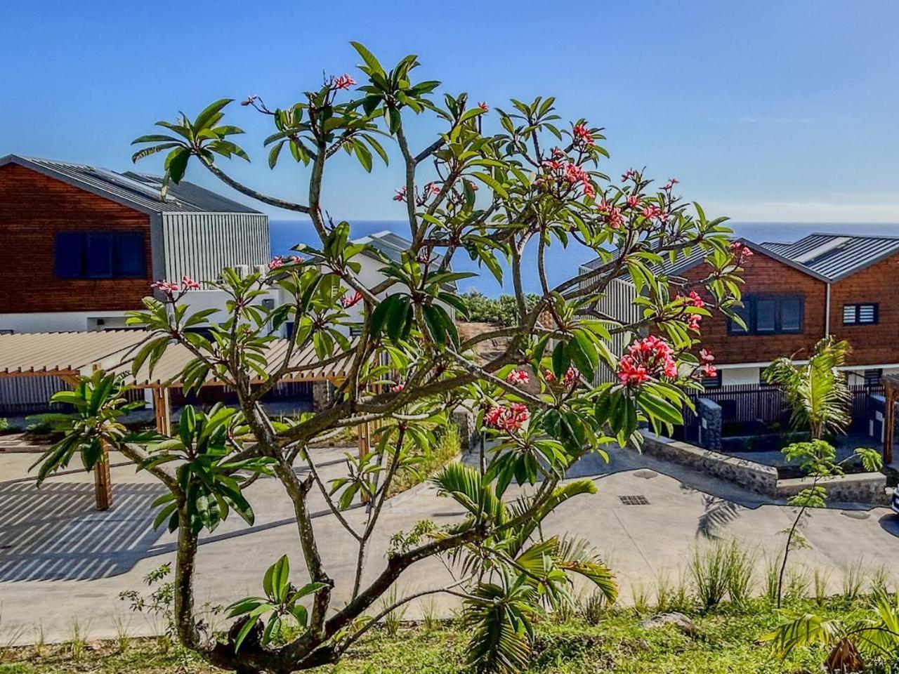 Appartamento Le Reve Bleu Grand Anse Petite Île Esterno foto