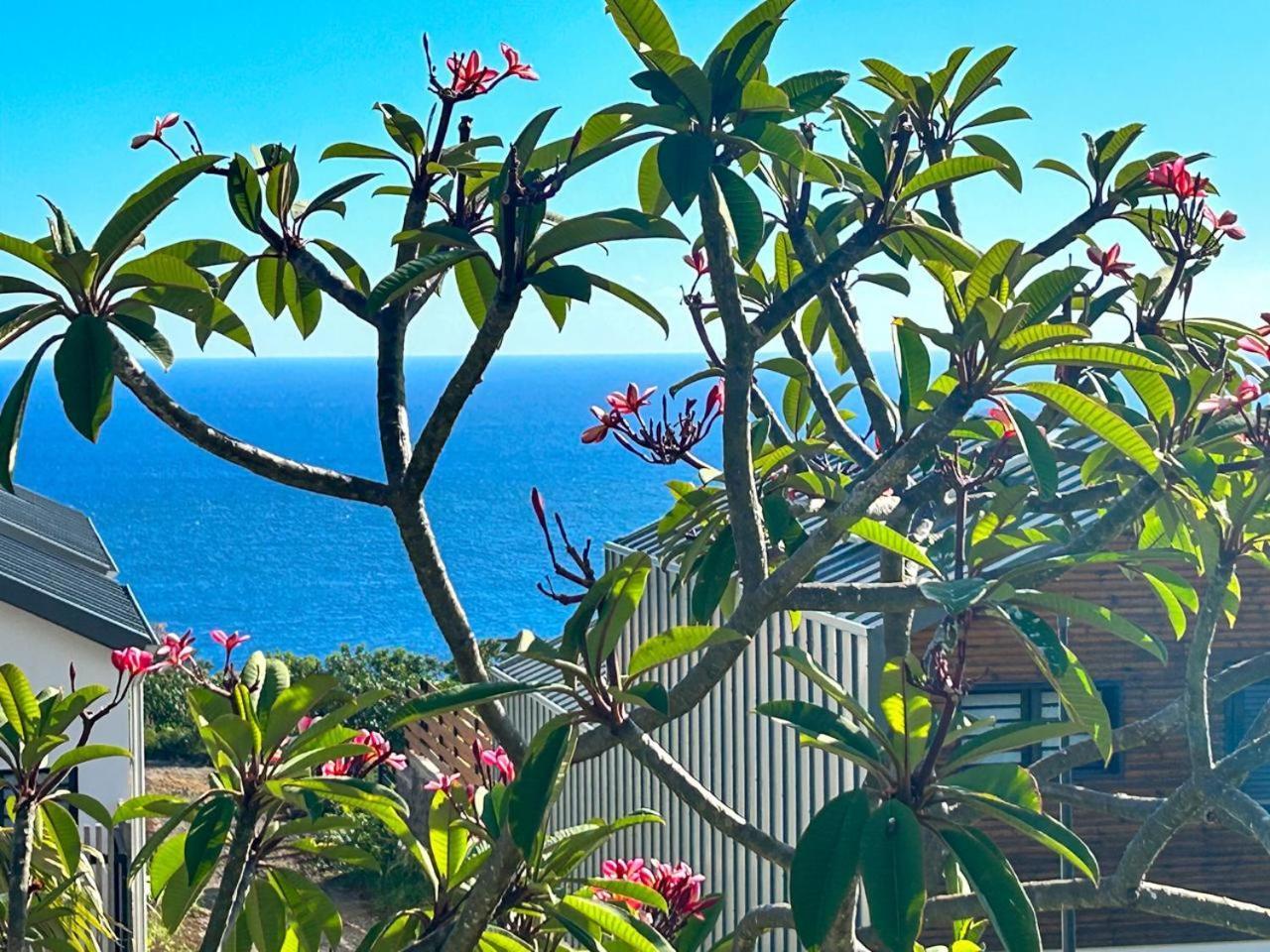 Appartamento Le Reve Bleu Grand Anse Petite Île Esterno foto